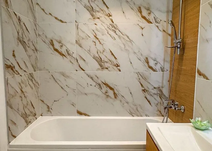 Cute Coresi * 布拉索夫